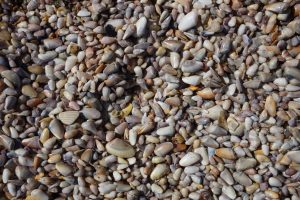 TopSail shells